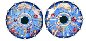 Iris Diagnose
